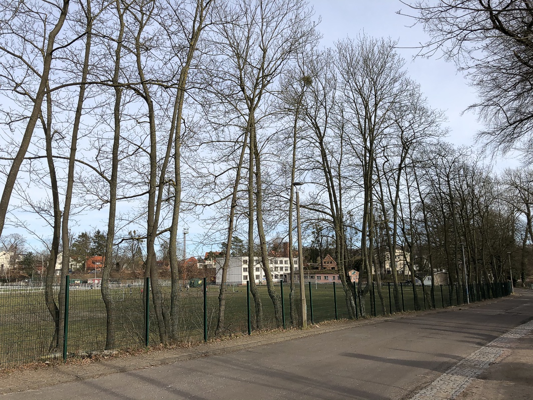 Baumbestand am Schleifmühlenweg - Wohnpark Paulshöhe Schwerin